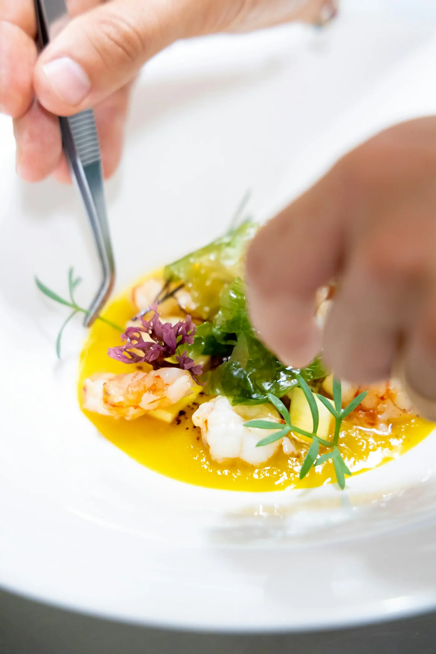 Lo chef impiatta un antipasto